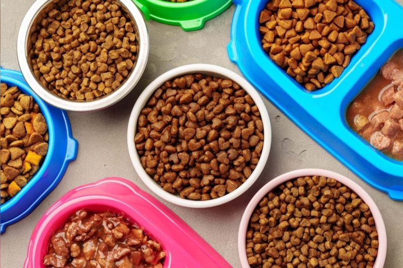 Pet Food: Ultimate Guide to Healthy and Delicious Choices